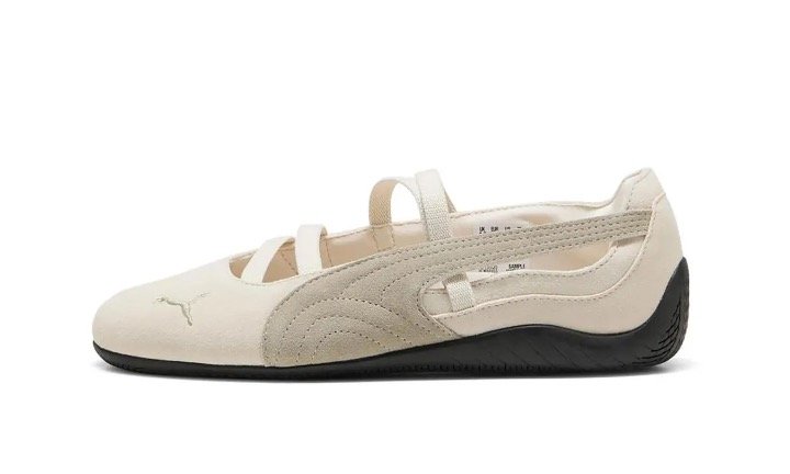 ballet alpine snow web